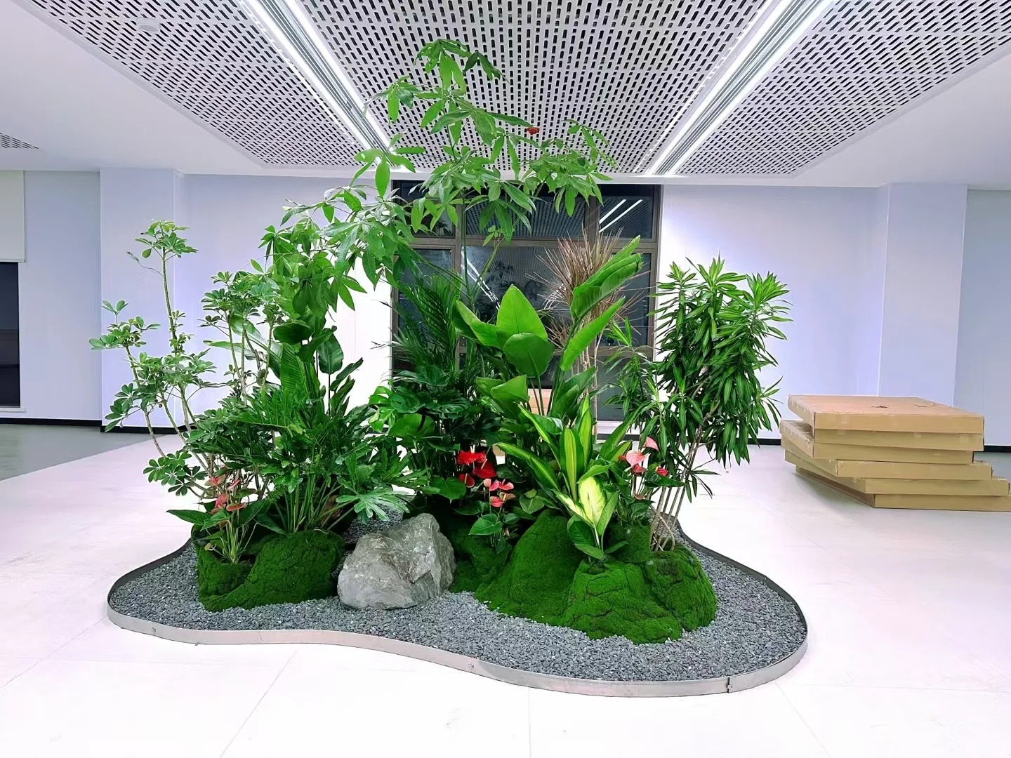 了解余姚花卉出租价格,开启省钱之道!